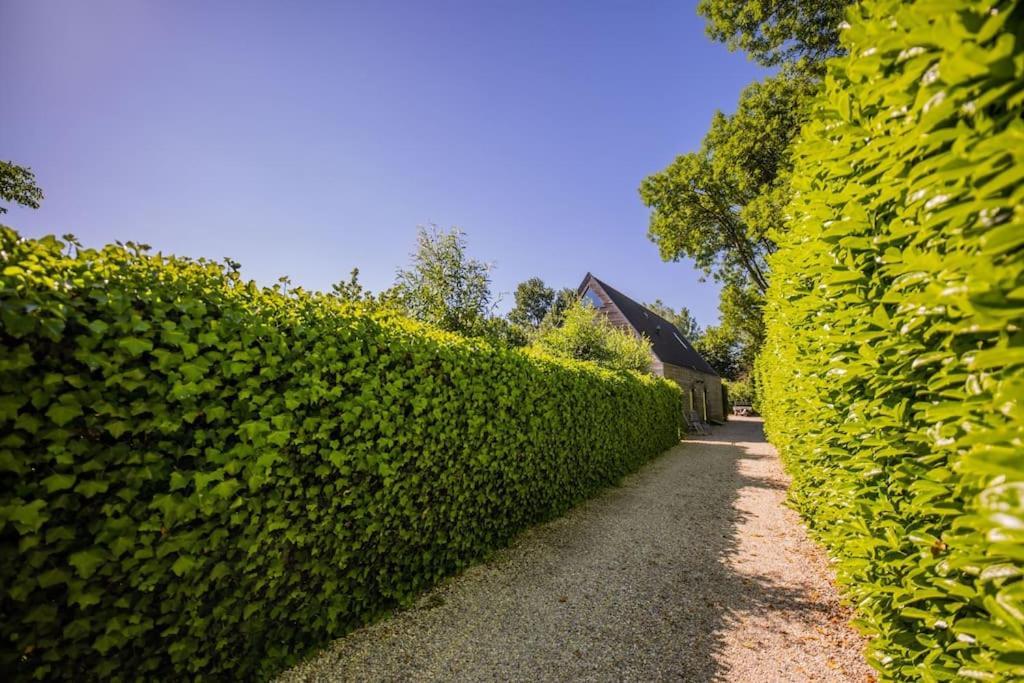 Wonderful 50M2 Loft Eindhoven - Ks8 Exterior foto